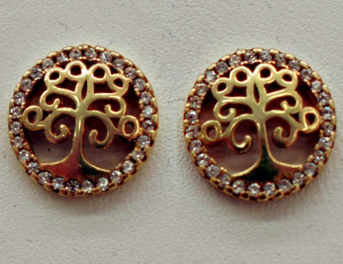 silver earrings with zircon